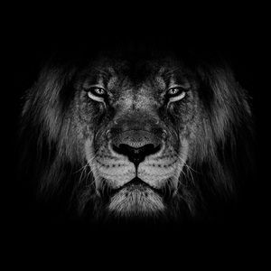 Meet your Posher, Charles